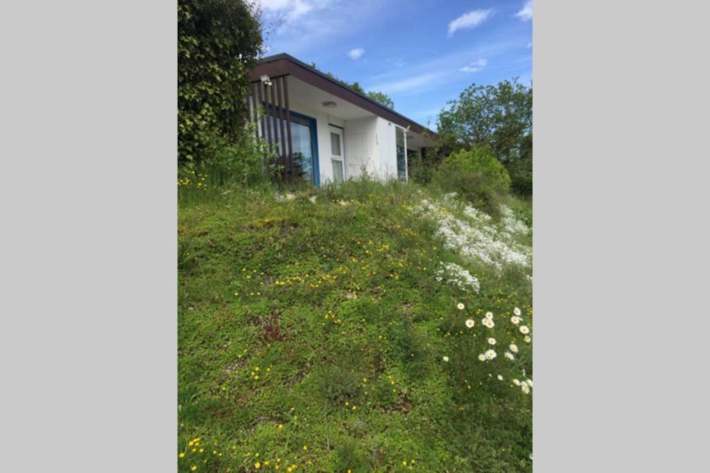 Idyllisch Wohnen Im Weserbergland - Bungalow Mit Phantastischer Aussicht Fuer 4 Personen Polle 外观 照片